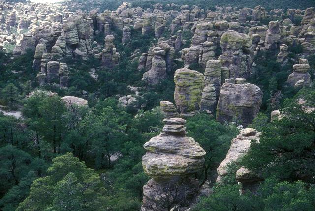 Chiricahua National Monument